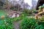 La cabaña de la sauna está a 10 metros.