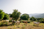 Esta finca va más allá de las zonas valladas