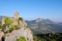 Castillo de águila de Gaucín