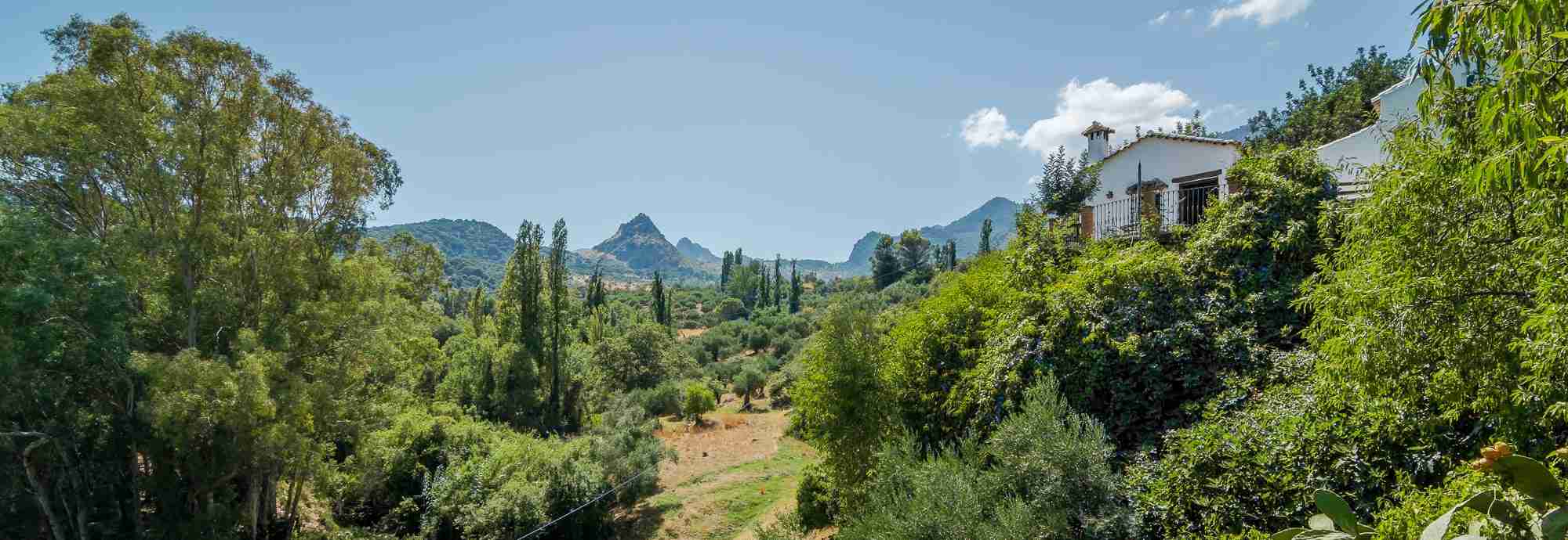 A real feel of rural Andalucia in a gorgeously green river valley