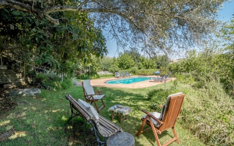 Los árboles aportan sombra 