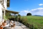 Views and outdoor space