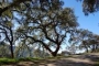 Los bosques de Aracena son impresionantes 