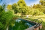 Piscina a finales de primavera de 2017