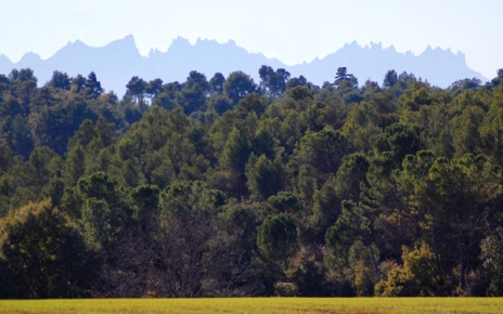 View of the unmistakeable sierra of Montserrat from nearby