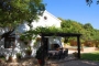 Shaded dining outside the kitchen