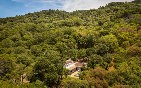 Wooded seclusion 25 mins walk to Gaucin