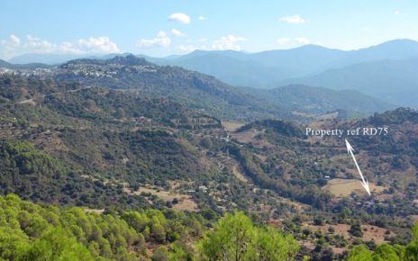 Ubicación de la propiedad mirando hacia el este. Gaucín se encuentra arriba a la izquierda