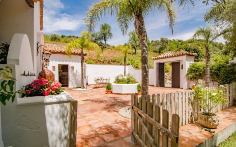 Patio abierto a jardines