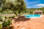 Large terraces all around swimming pool