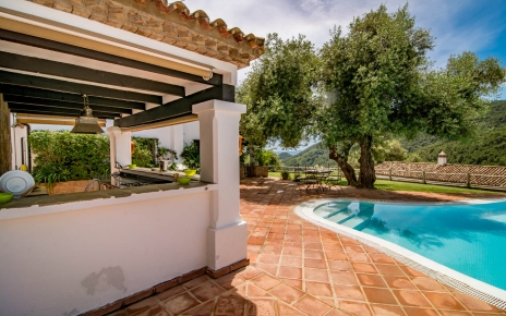 Bar junto a la piscina