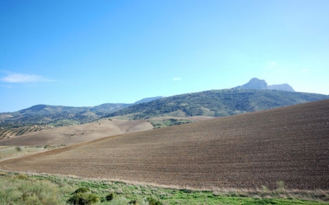 Carretera A-374 de Ronda a El Gastor