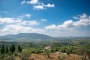 The property is surrounded by olive trees