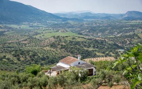 Un hermoso escenario al borde de las montañas Grazalema