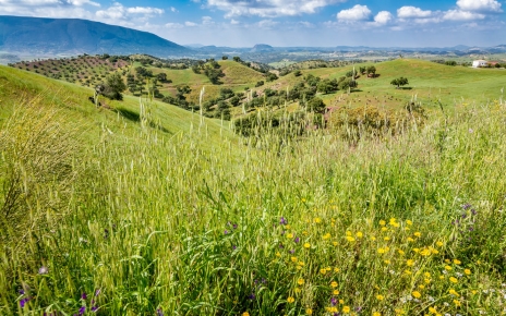 Su ubicación en mayo después de un invierno lluvioso