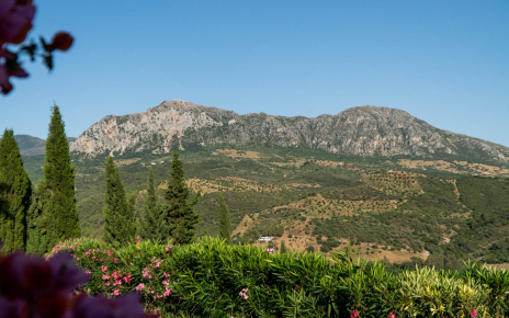 Mirando hacia la Sierra Crestellina