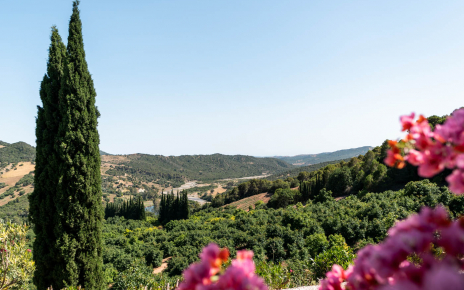 Mirando hacia el valle del Genal