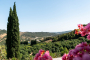 Looking towards the Genal valley