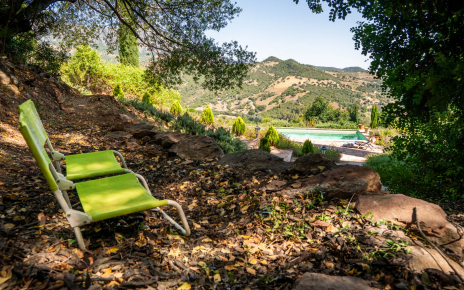 Un rincón con sombra bajo un alcornoque