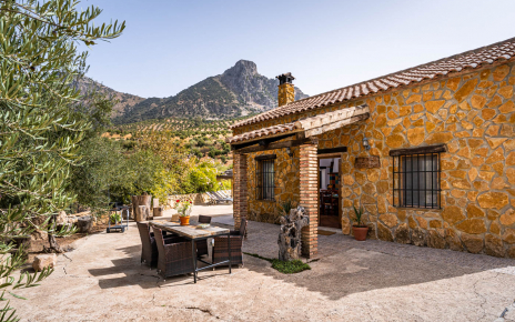 Patio delantero / entrada a la casa