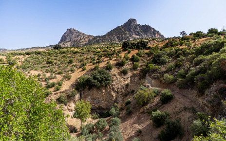 Un corto paseo desde la casa te lleva a una pequeña cueva