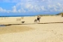 Montar a caballo por la zona de las dunas es maravilloso