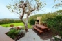 Barbecue area shaded by old fig tree