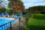 Gated pool, safe gardens for kids