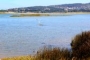 Wetlands are 20 minutes drive away