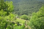 Terraced gardens seen from above