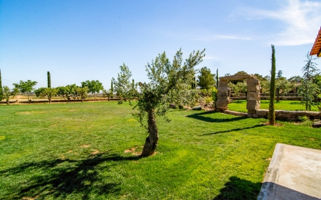 Large private gardens at the back