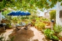 Outdoor living by the lemon tree