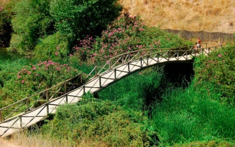 El lugar de Cueva del Gato (The Cat´s Cave) está cerca