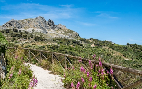 De camino a la ciudad de Ronda