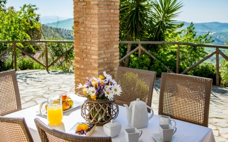 Morning breakfast by the porch