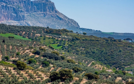 Your setting by the Torcal mountains