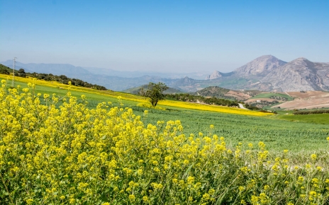 Your views and your setting in late Spring