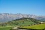 The road to your villa from Villanueva village