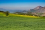 Tus vistas hacia el oeste en primavera