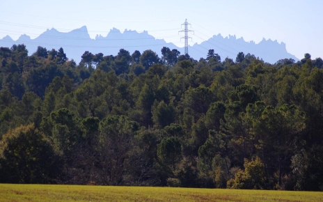 Montserrat mountain range is a great day out