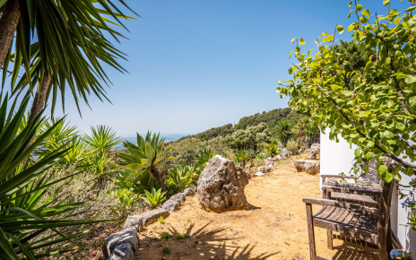 Outdoor area below pool
