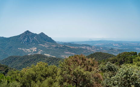 Kitchen window views!