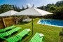 Parasols by pool