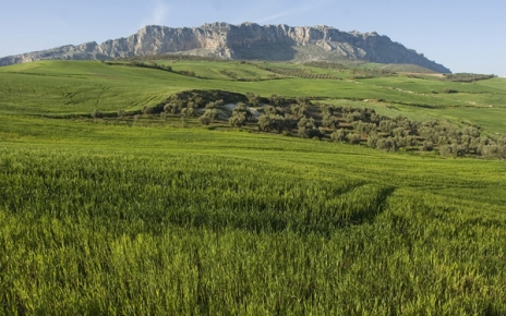 Antequera region in spring
