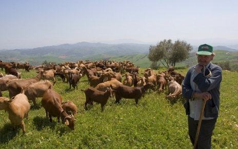 Shepherd in El Torcal region of Antequera