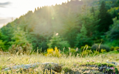 ¡Desconecta y relájate!