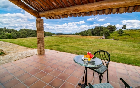 Grandes terrenos de césped