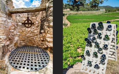 Detalles llegando a la propiedad