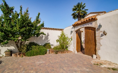 Puerta principal al patio