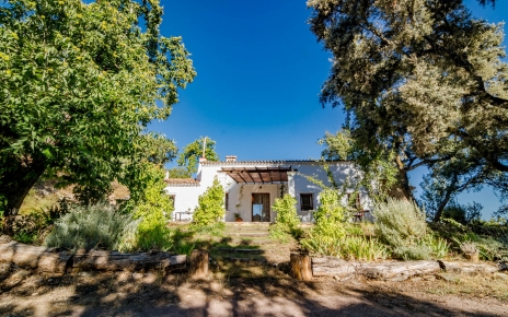 Steps up to villa from parking area